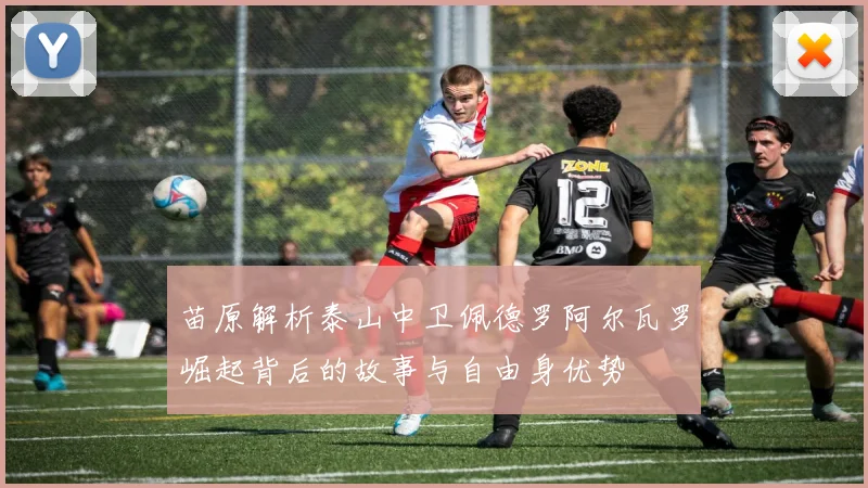 苗原解析泰山中卫佩德罗阿尔瓦罗崛起背后的故事与自由身优势