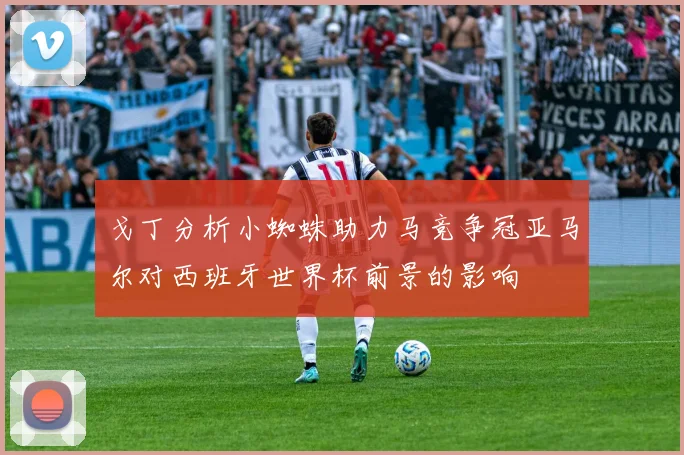 戈丁分析小蜘蛛助力马竞争冠亚马尔对西班牙世界杯前景的影响