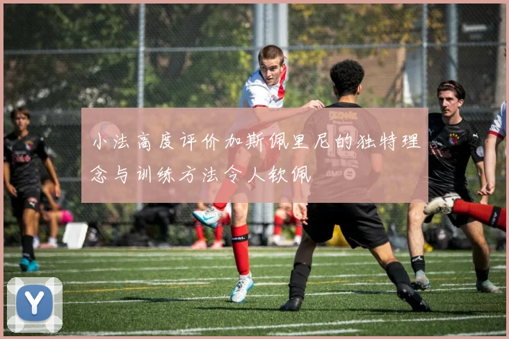 小法高度评价加斯佩里尼的独特理念与训练方法令人钦佩